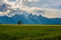 Grand Teton ranch